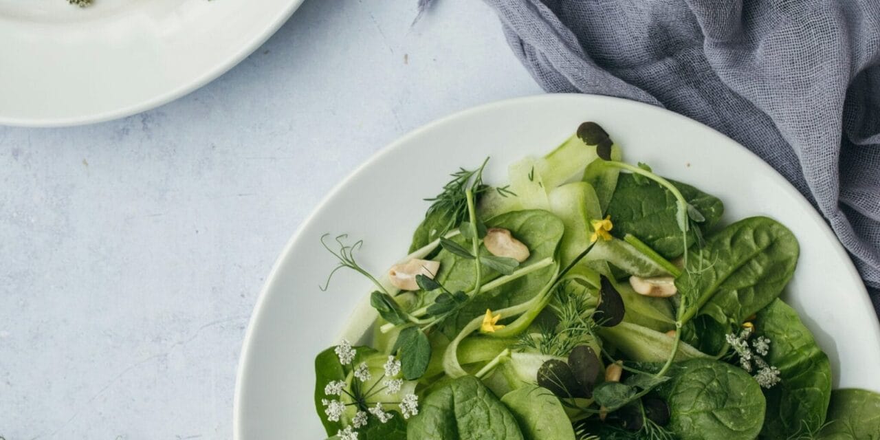 Fibra, probióticos y salud digestiva