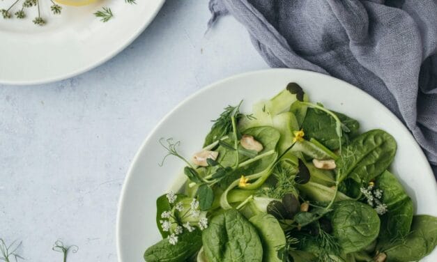 Fibra, probióticos y salud digestiva