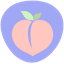Logo Carlos Mudarra Nutricionista