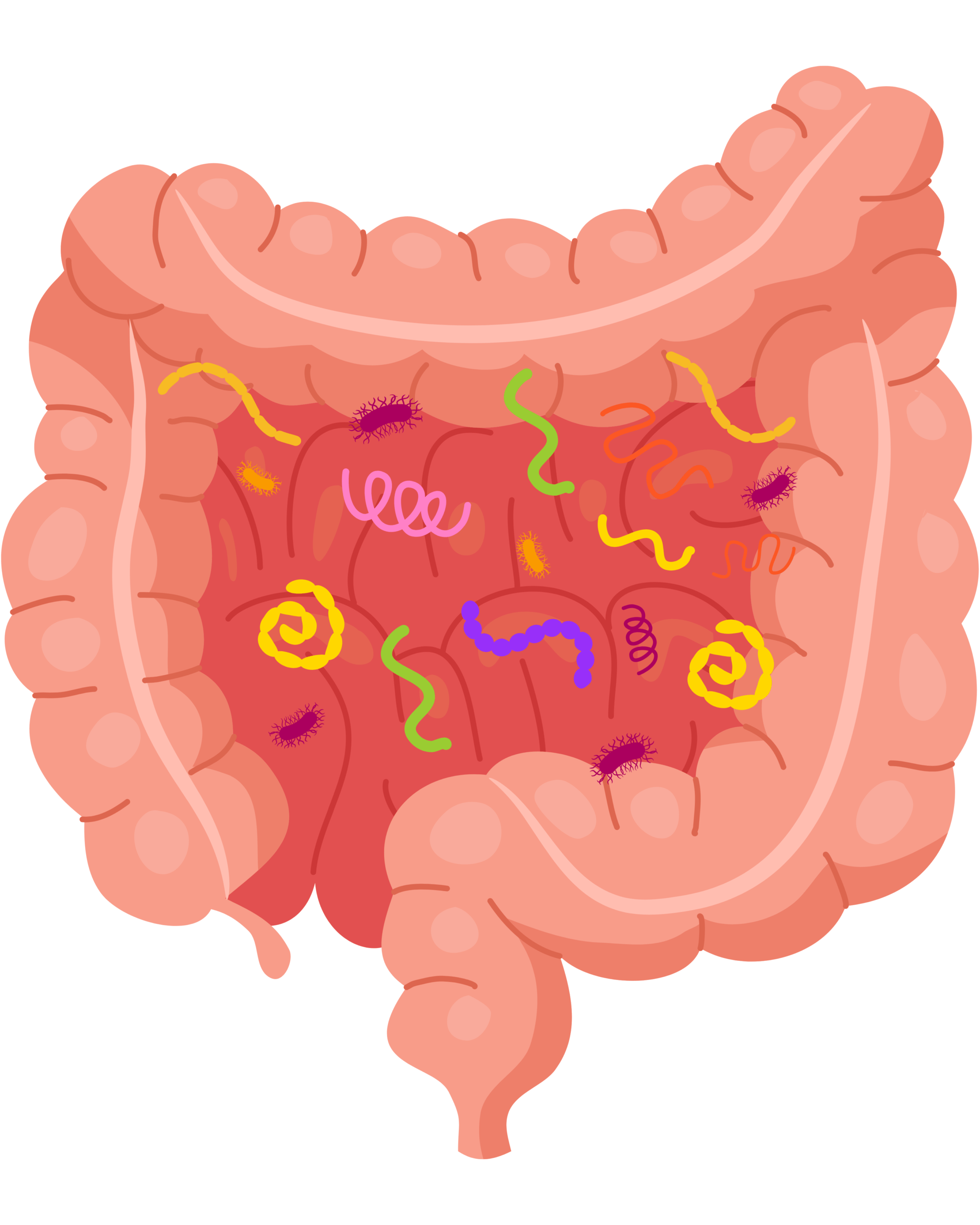 Nutrición clínica y digestivo 2 Alivio dolor síndrome intestino irritable y gases