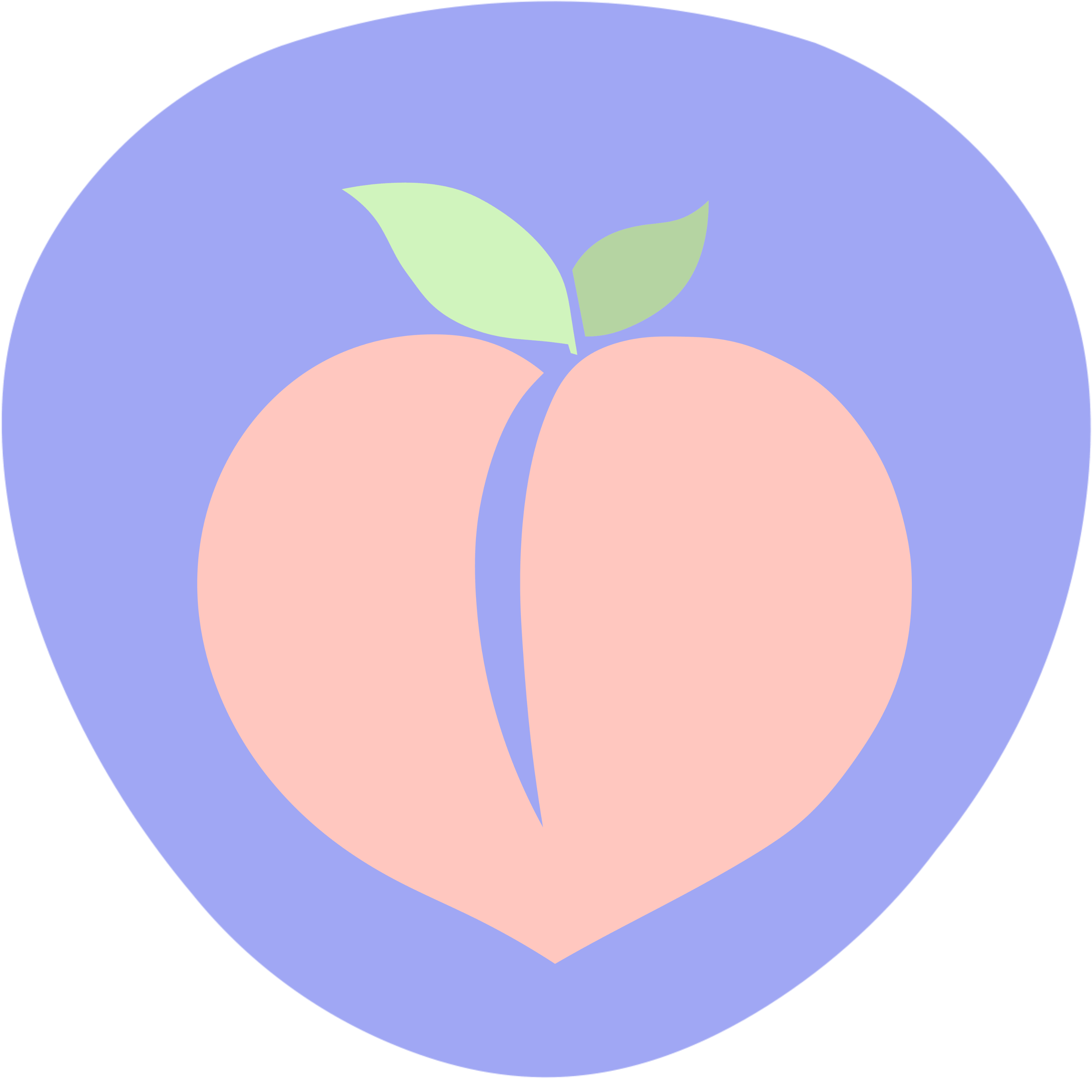 Logo Carlos Mudarra Nutricionista